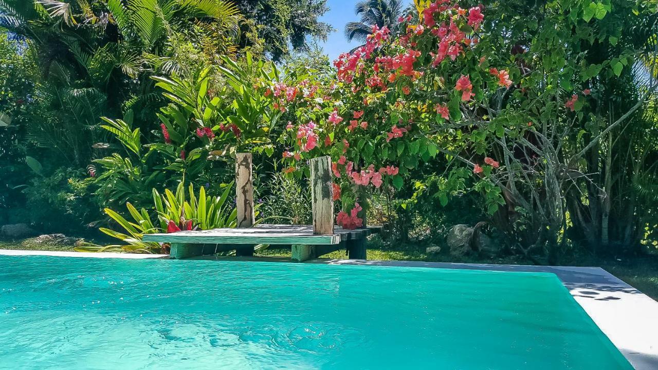 Villa Strelitzia Cabarete Esterno foto